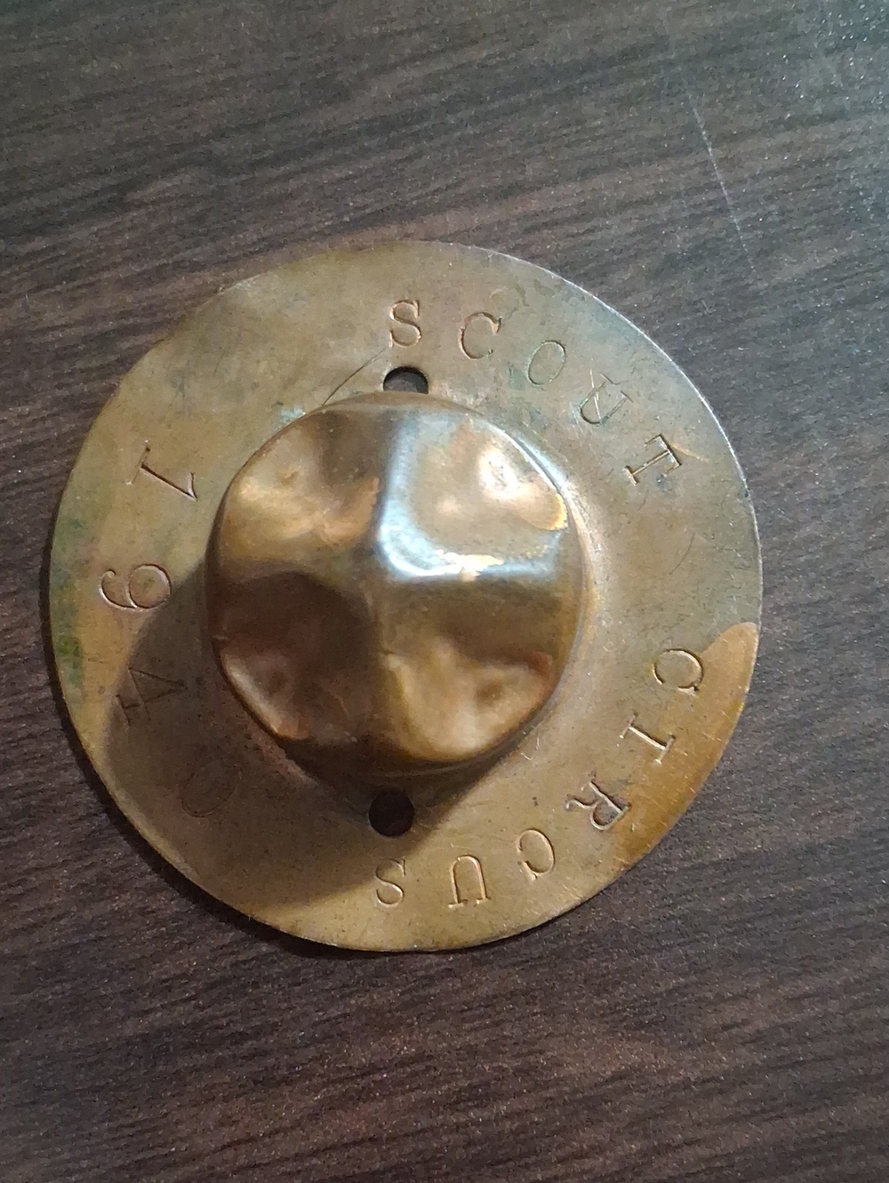 Vintage Brass Scout Badge Wall Accent - Antique Brass Tone